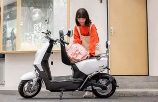 雅迪e3 專(zhuān)屬于你的時(shí)尚大氣，暖男般的電動(dòng)車(chē)網(wǎng)絡(luò)設(shè)備